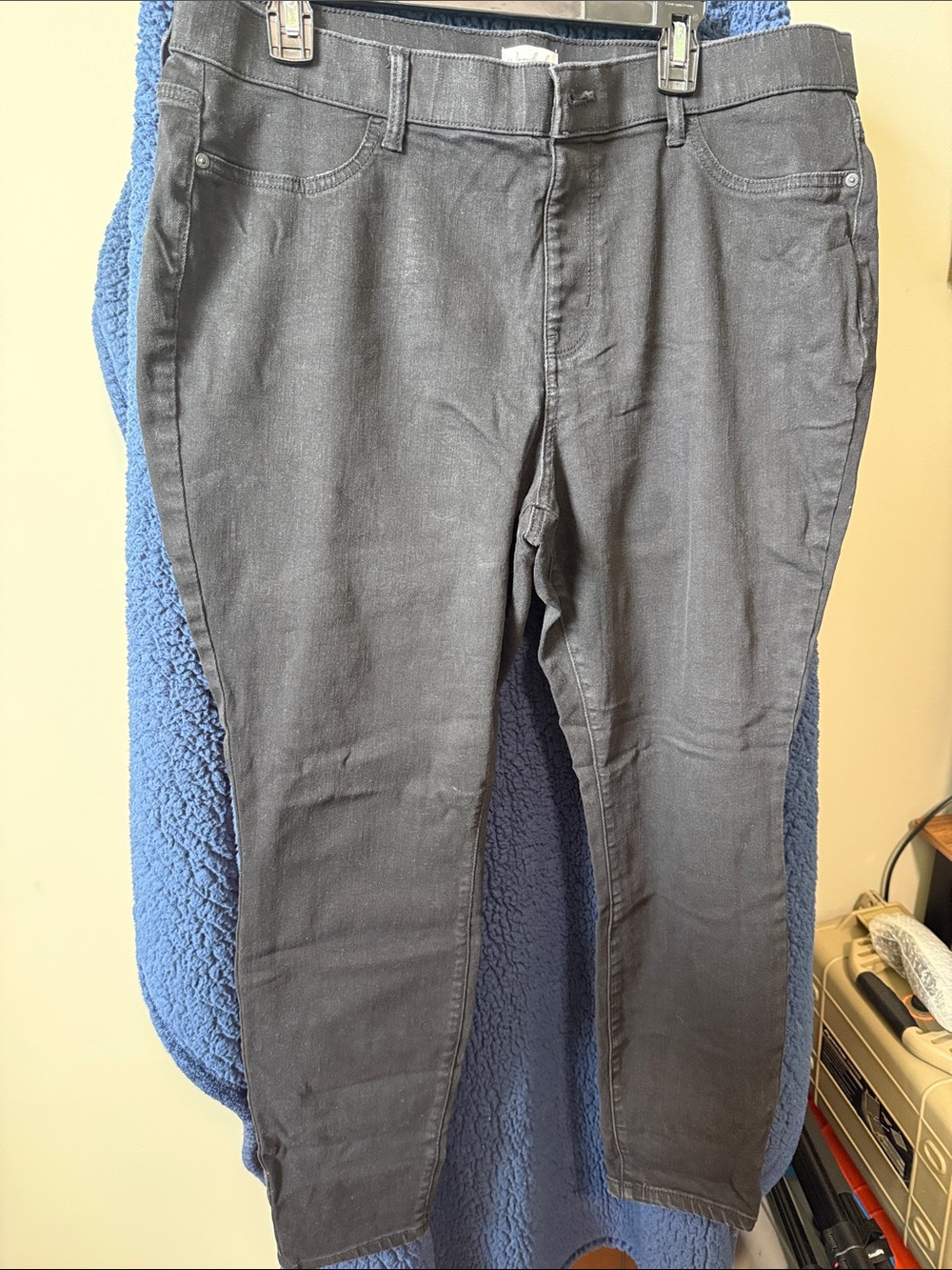 Wonderly Women’s Pull On Skinny Jeans in Black (110)